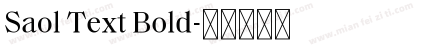 Saol Text Bold字体转换